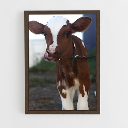 ap-calf-6 cadre Bois foncé