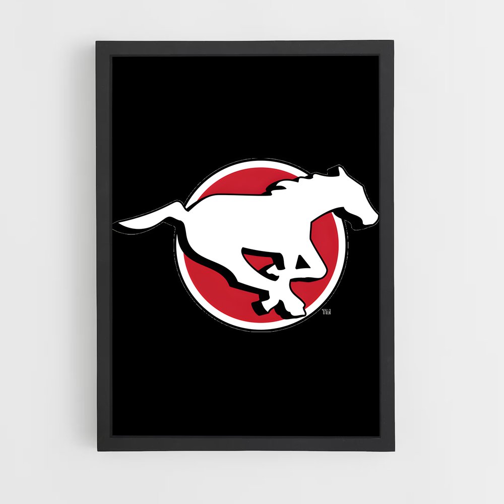 ap-calgary stampeders-1 cadre Noir