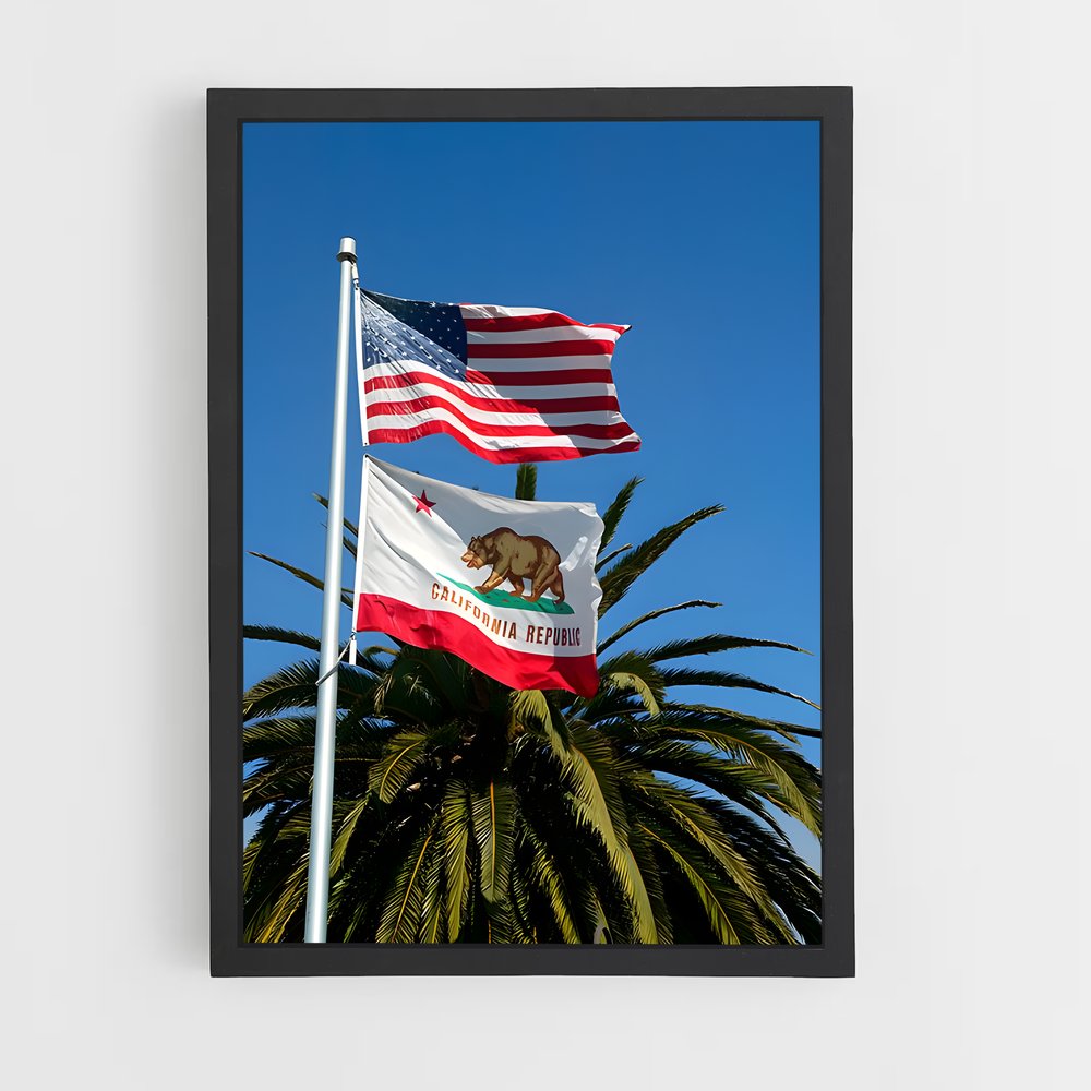 ap-california republic flag-3 cadre Noir