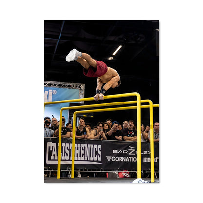 Poster Skate Trickster