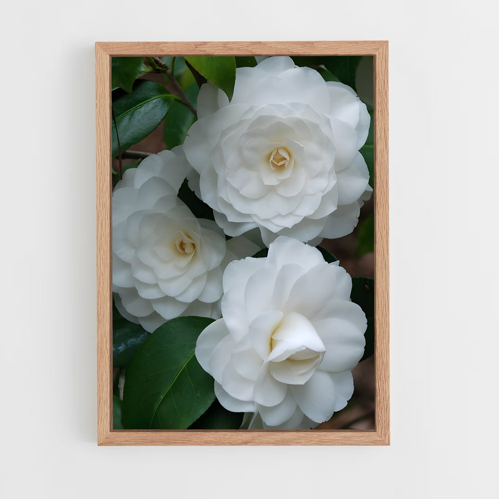 ap-camellia-1 cadre Bois clair