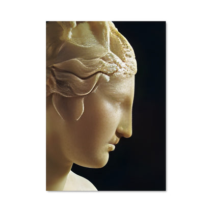 Poster Venus Élégante