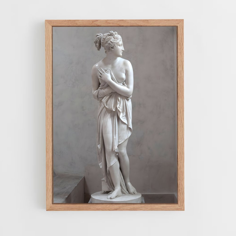 ap-capitoline venus-1 cadre Bois clair
