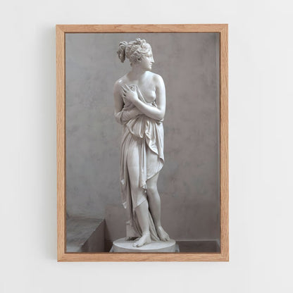 ap-capitoline venus-1 cadre Bois clair