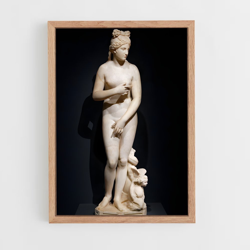 ap-capitoline venus-2 cadre Bois clair