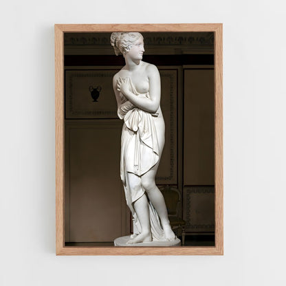 ap-capitoline venus-3 cadre Bois clair