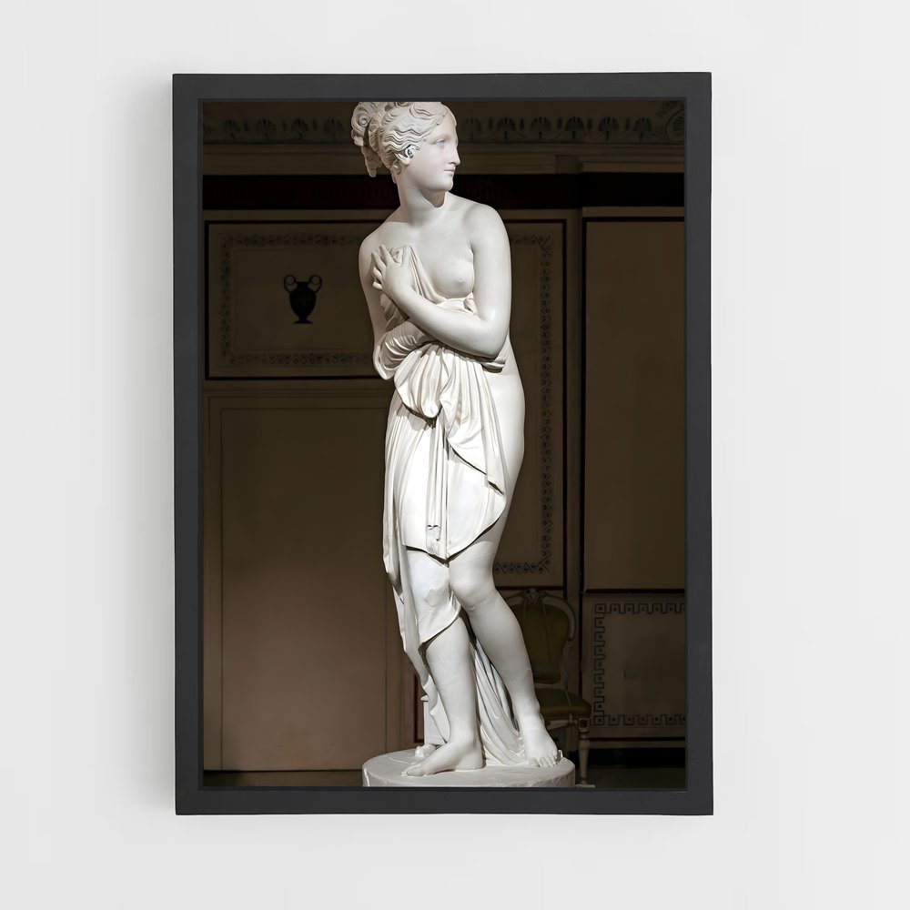 ap-capitoline venus-3 cadre Noir
