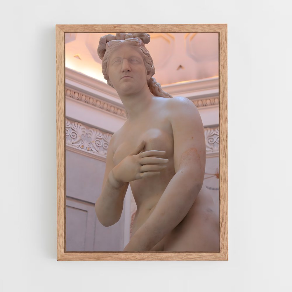 ap-capitoline venus-4 cadre Bois clair