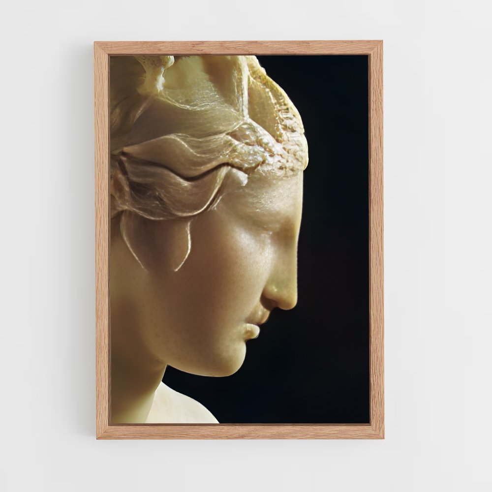 ap-capitoline venus-5 cadre Bois clair