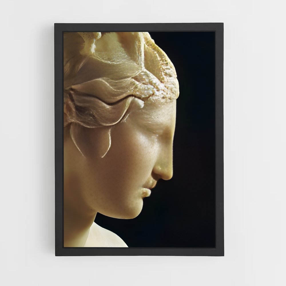 ap-capitoline venus-5 cadre Noir