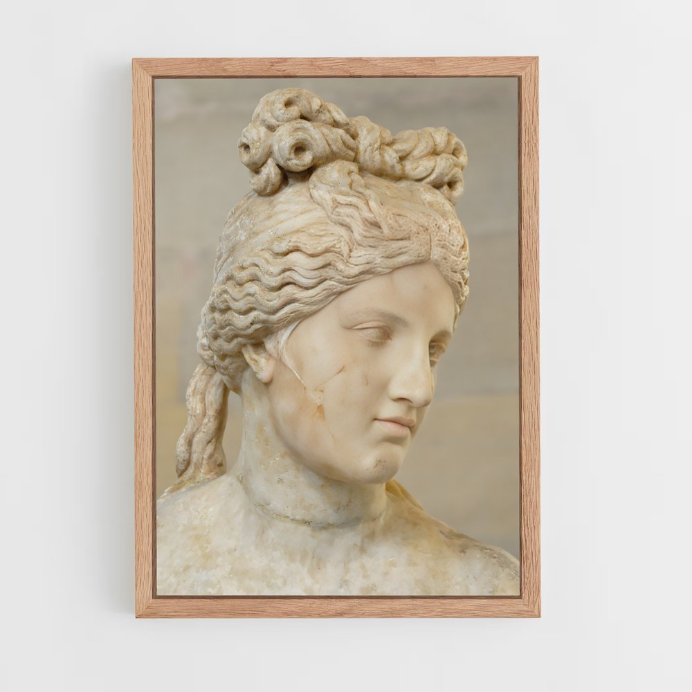 ap-capitoline venus-6 cadre Bois clair