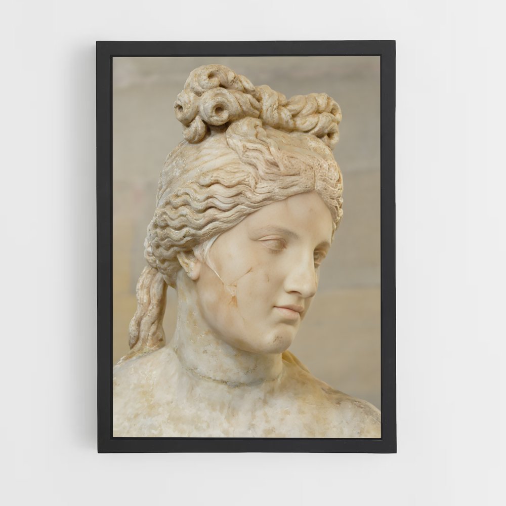 ap-capitoline venus-6 cadre Noir