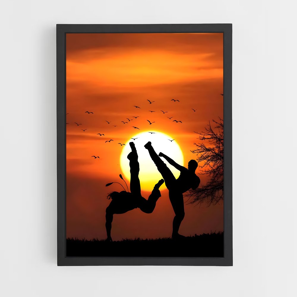 ap-capoeira-3 cadre Noir