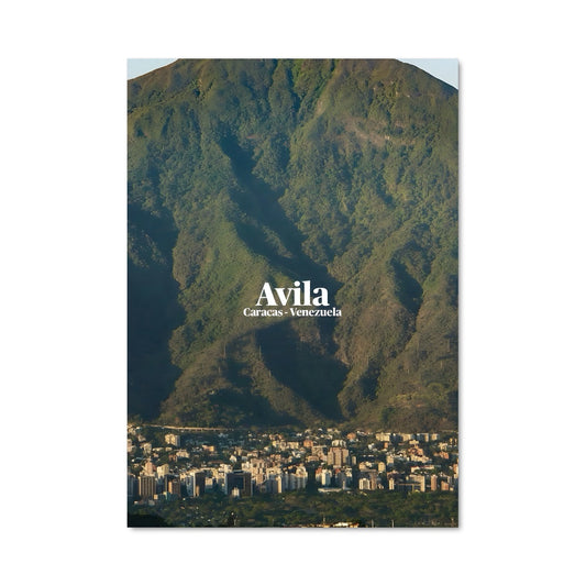 Poster L'Essence de Cape Town