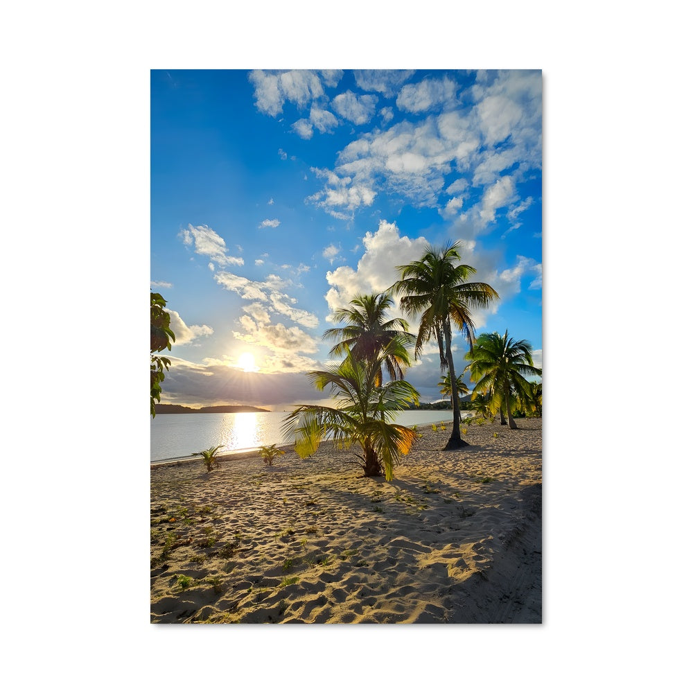 Poster Plage des Caraïbes