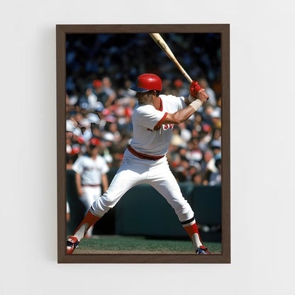 ap-carl yastrzemski-2 cadre Bois foncé