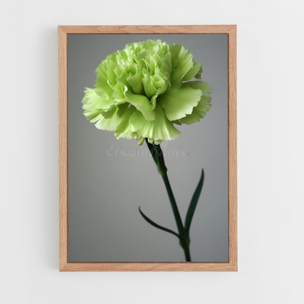 ap-carnation-10 cadre Bois clair