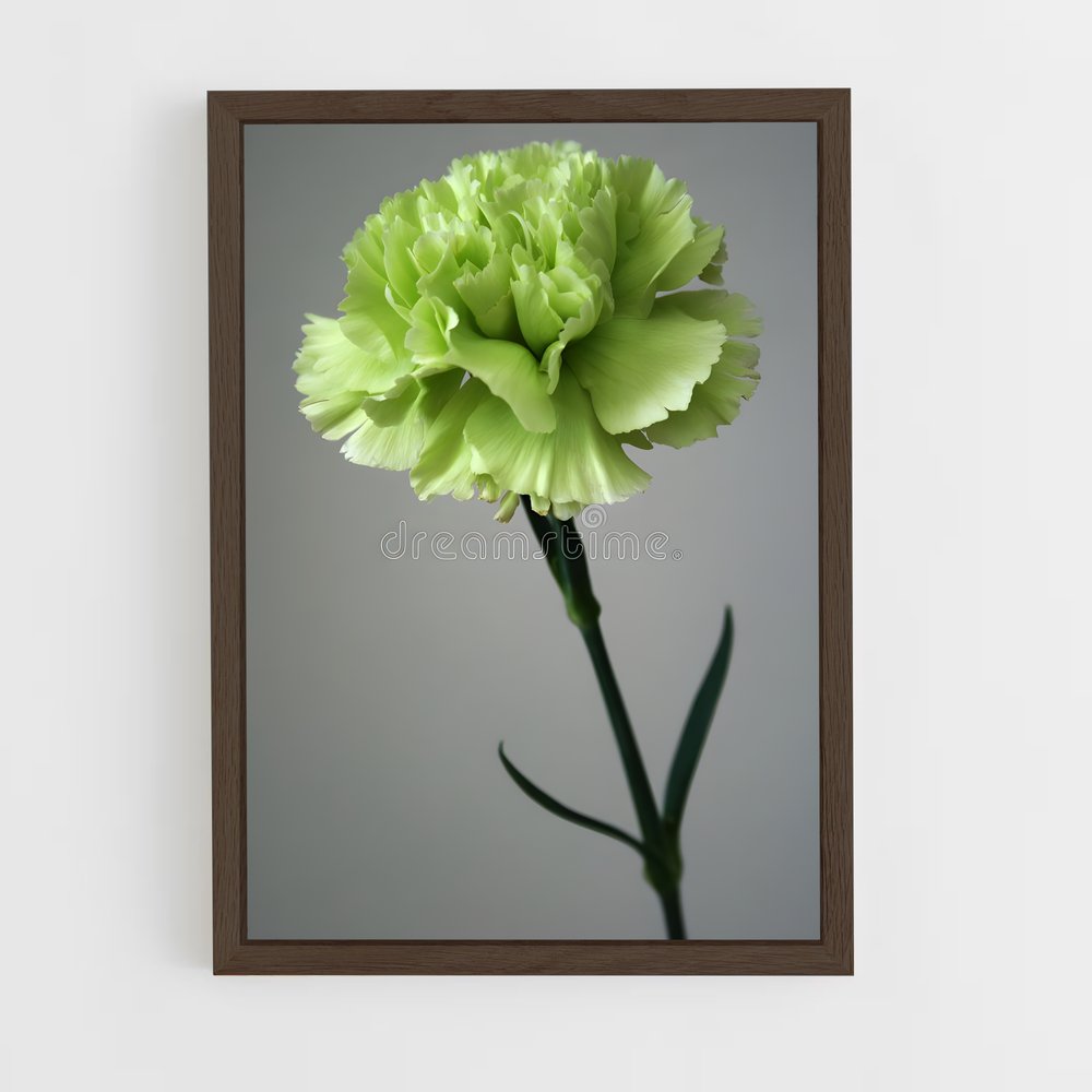 ap-carnation-10 cadre Bois foncé