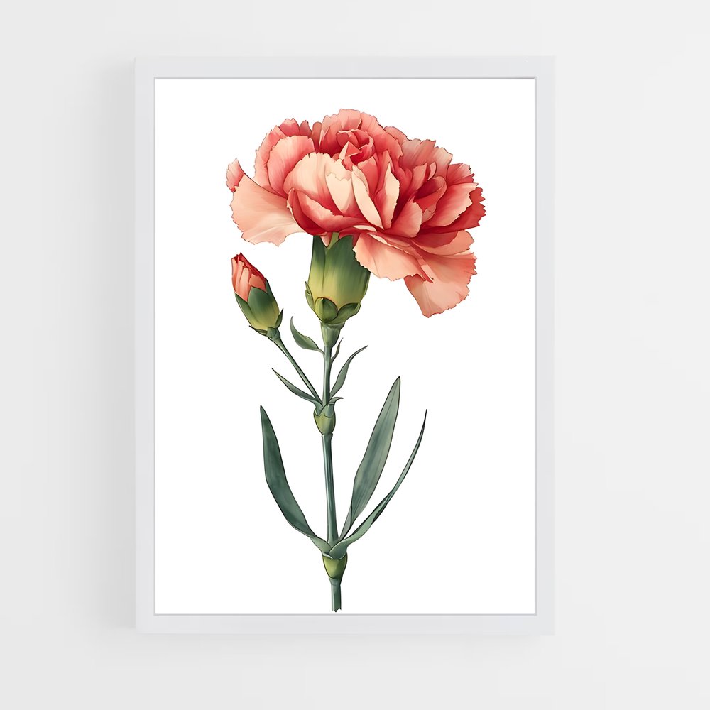 ap-carnation-2 cadre Blanc