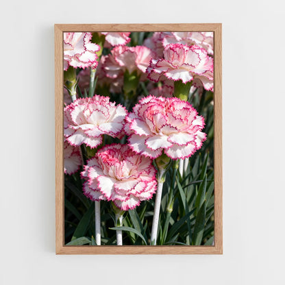 ap-carnation-5 cadre Bois clair