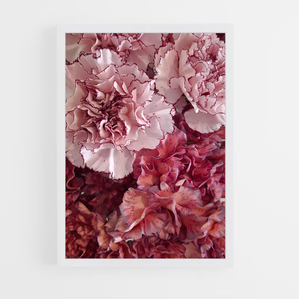 ap-carnation-6 cadre Blanc