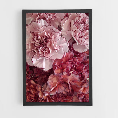 ap-carnation-6 cadre Noir