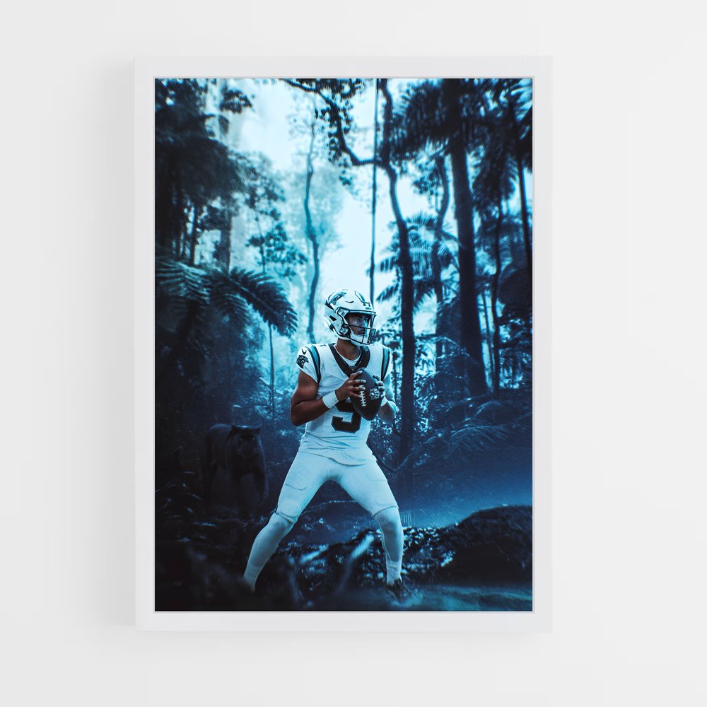 ap-carolina panthers-3 cadre Blanc