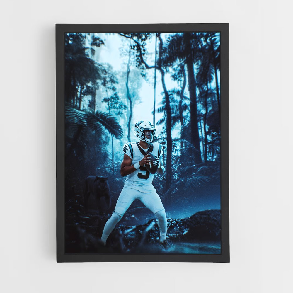 ap-carolina panthers-3 cadre Noir