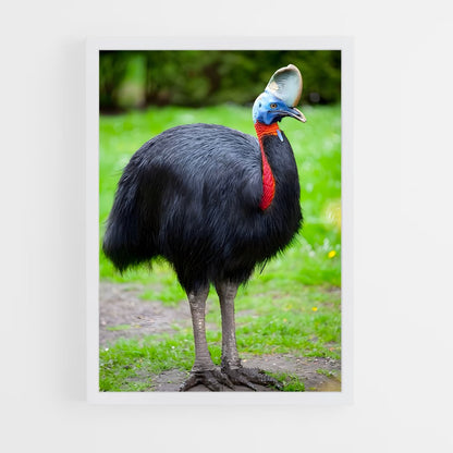 ap-cassowary-2 cadre Blanc