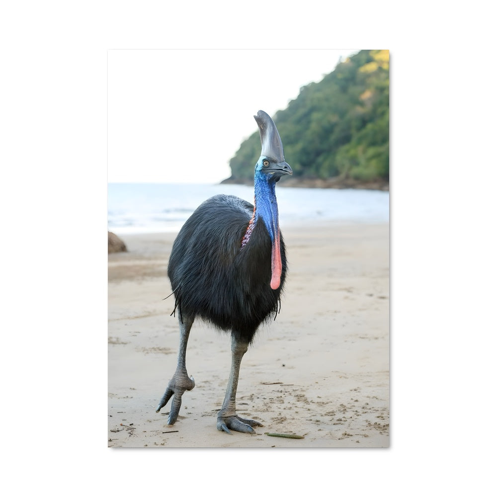 Poster Plume de Plage