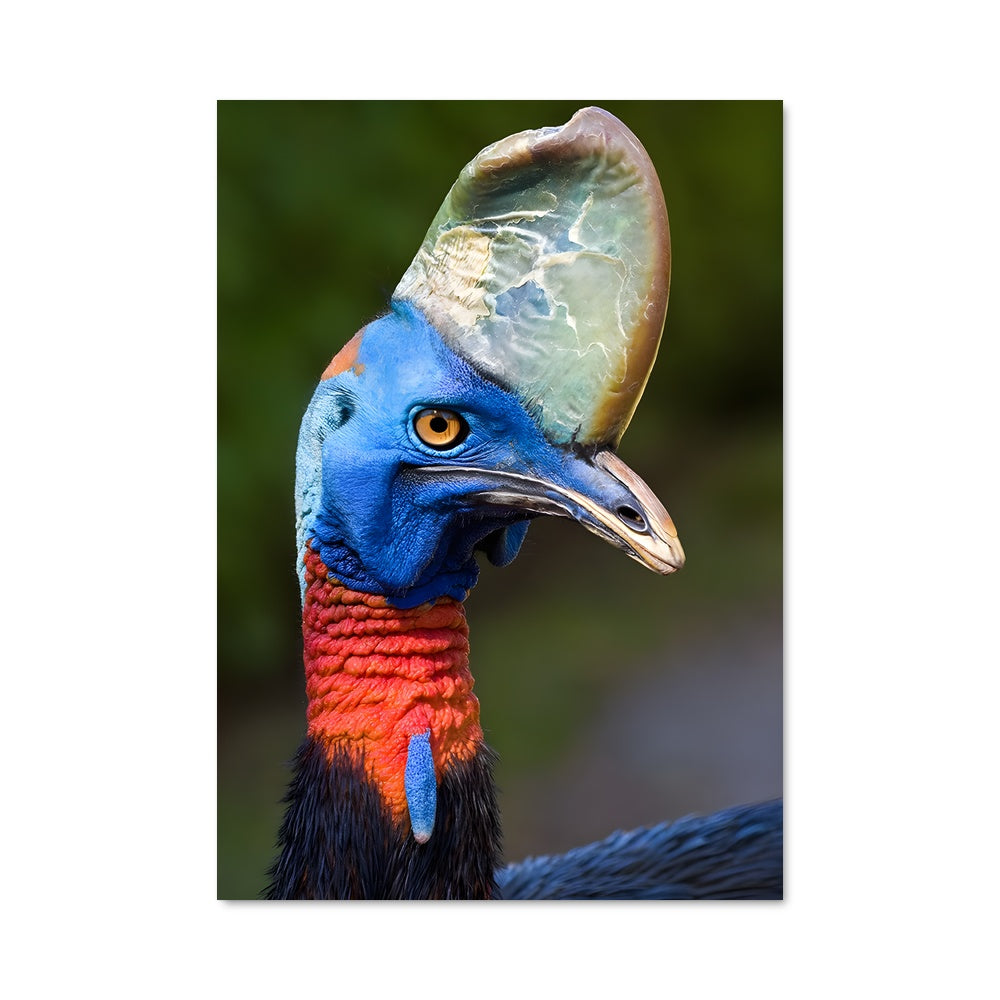 Poster Plume Colorée