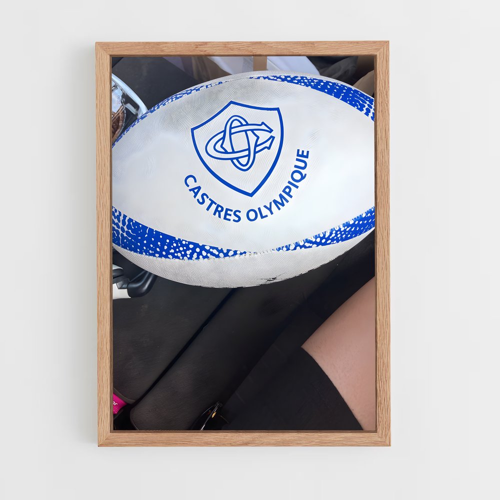 ap-castres-4 cadre Bois clair