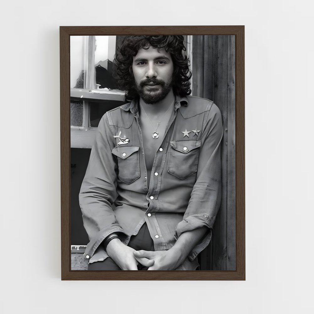 ap-cat stevens-3 cadre Bois foncé