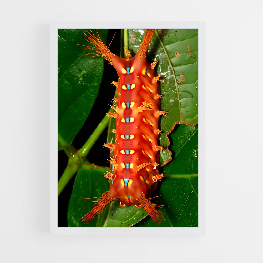 ap-caterpillar-7 cadre Blanc