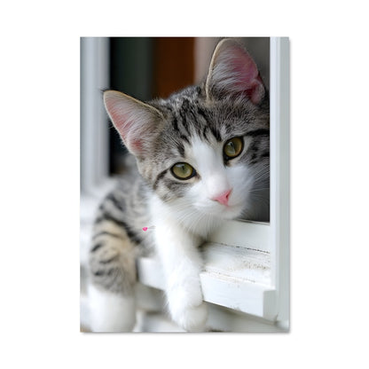 Poster Petit Observateur