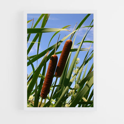 ap-cattail-2 cadre Blanc
