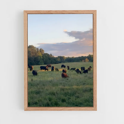 ap-cattle ranch-6 cadre Bois clair