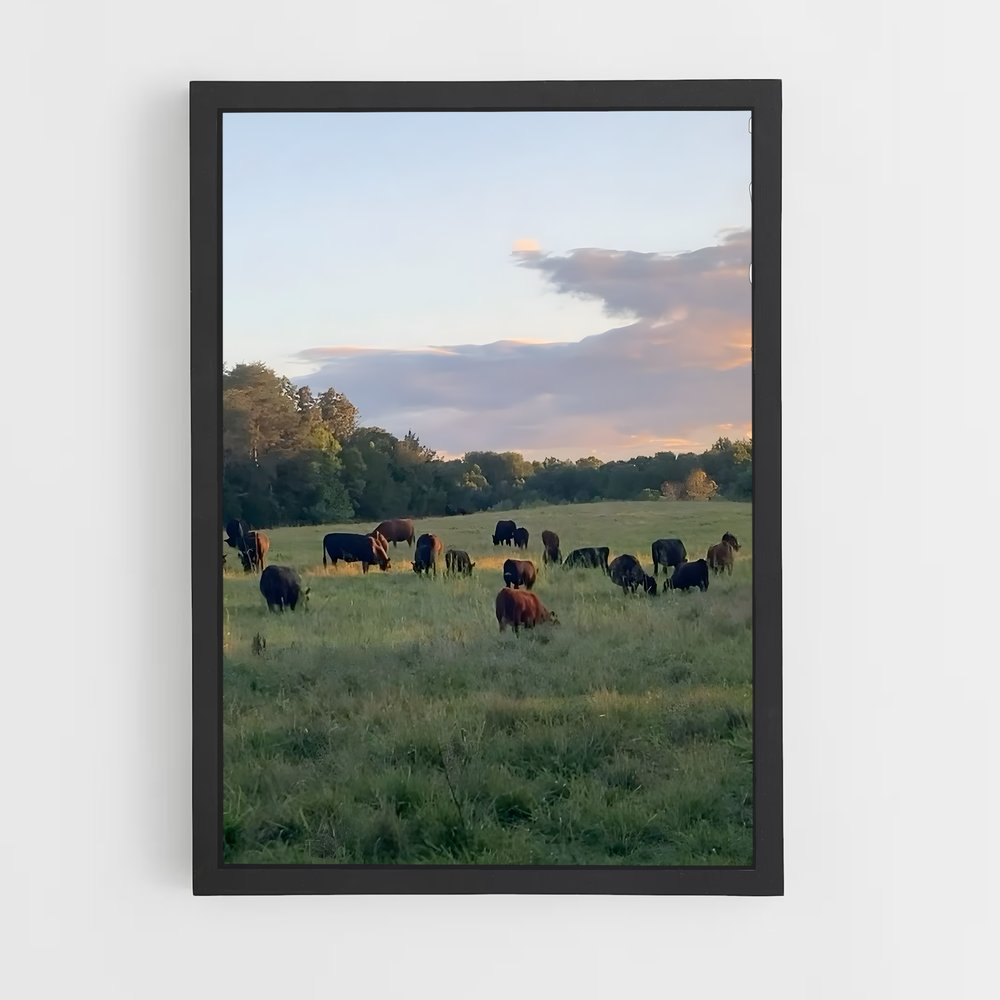 ap-cattle ranch-6 cadre Noir