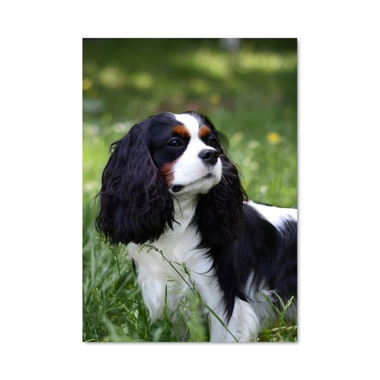 Poster Moment de Douceur