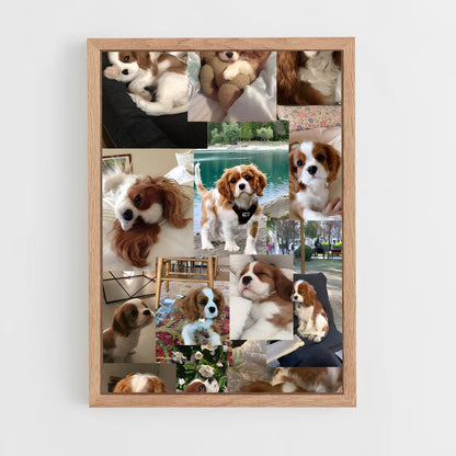 ap-cavalier king charles spaniel-1 cadre Bois clair