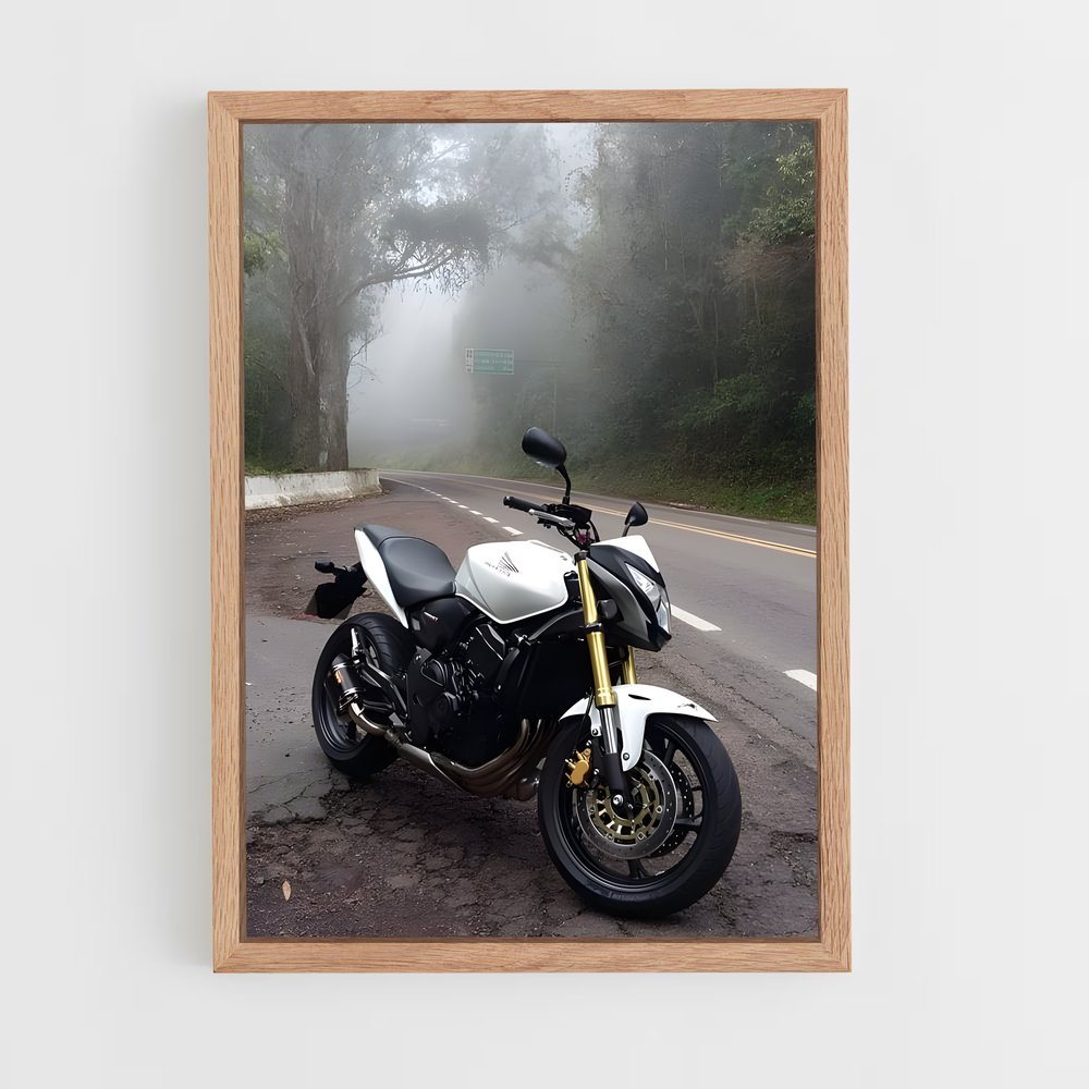 ap-cb600f hornet-1 cadre Bois clair