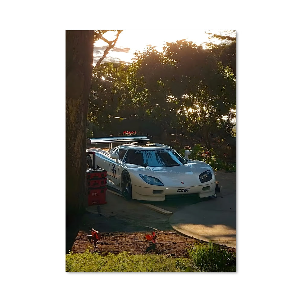 Poster Ccx 77833
