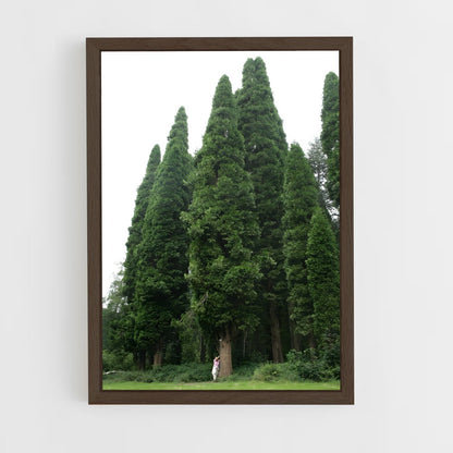 ap-cedar-4 cadre Bois foncé