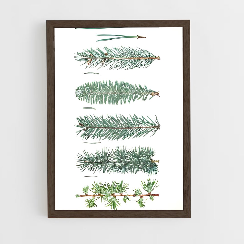 ap-cedar-8 cadre Bois foncé