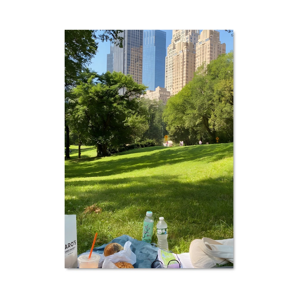 Poster Pique-nique à Central Park