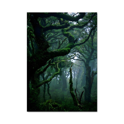 Poster L'Esprit de la Forêt