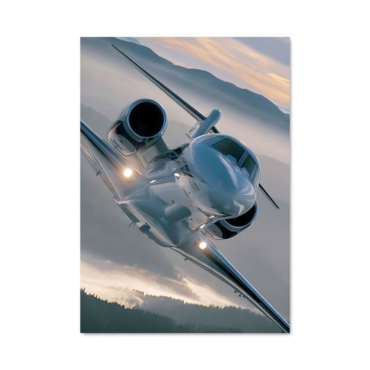 Poster Vol Élégant