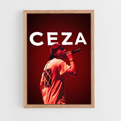 ap-ceza-2 cadre Bois clair