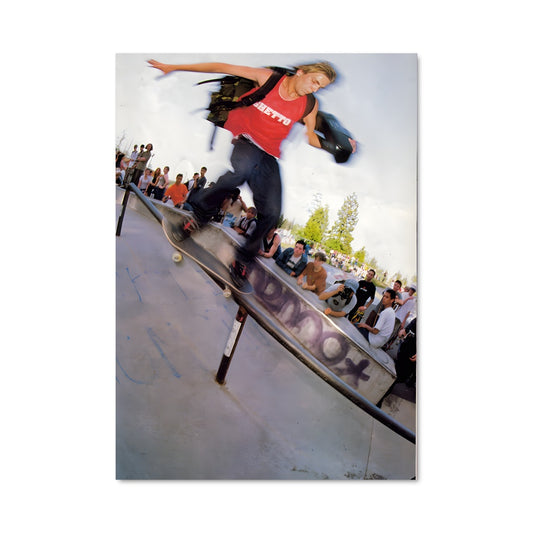 Poster Trickster sur Rail