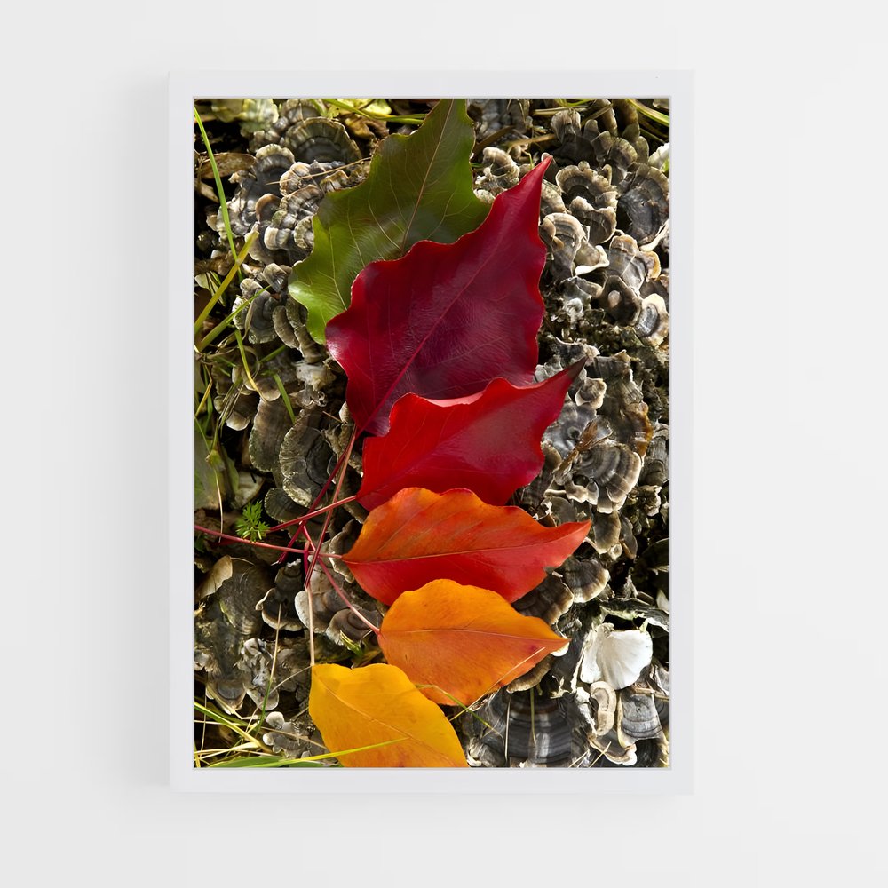 ap-changing leaves-3 cadre Blanc